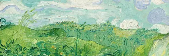 Starry Night Canvas Print