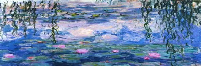 Starry Night Canvas Print