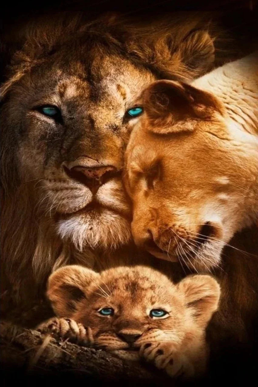 Wild Lion Tiger Prints