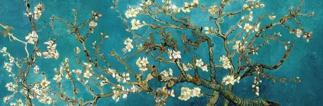 Starry Night Canvas Print